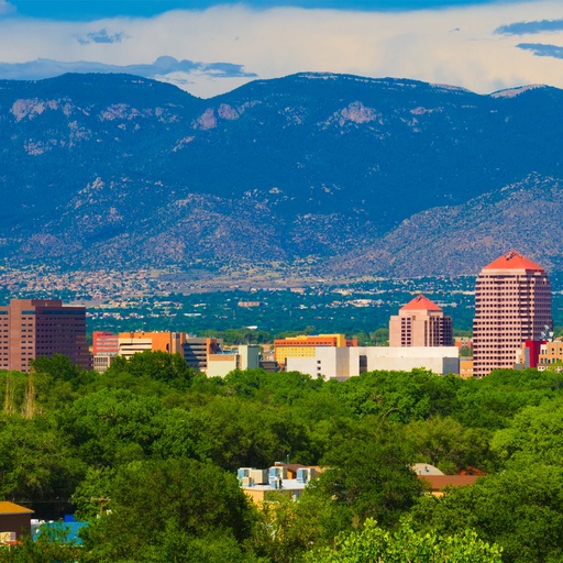 In-Person Meeting - Albuquerque