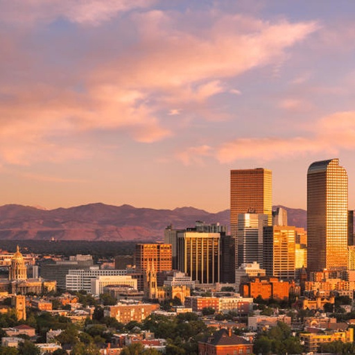 In-Person Meeting - Denver
